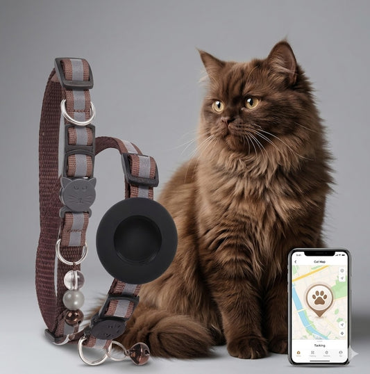 WhiskerTrail 🐱